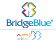 BridgeBlue Global Migration